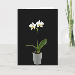 Blumenkarte zum Muttertag Schönheit Karte