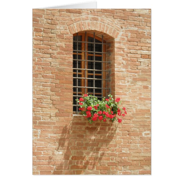 Blumenkasten (Vorne)