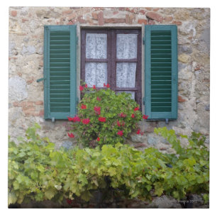 Blumenkasten auf Fenster Fliese