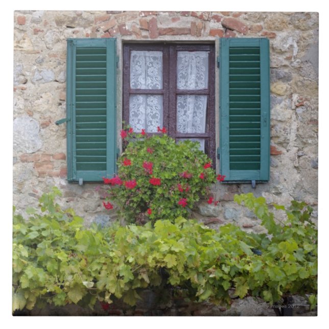 Blumenkasten auf Fenster Fliese (Vorderseite)