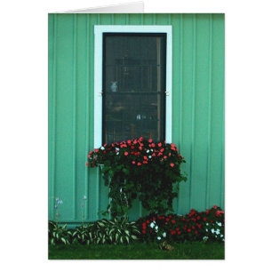 Blumenkasten von Impatients