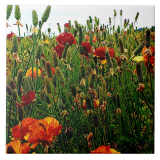 BlumenKeramik-Fliese: Blumen-Felder, Karlsbad CA Fliese