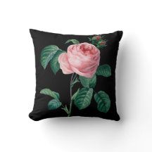 Blumenkissen des rosa Rosenschwarzen