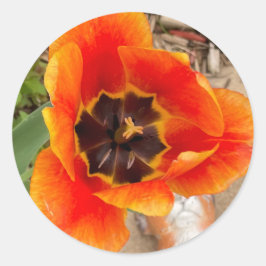 Blumenkleber Runder Aufkleber