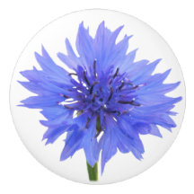 Blumenknöpfe