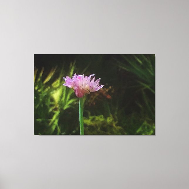 Blumenkohl und Palmetto Leinwanddruck (Vorderseite)