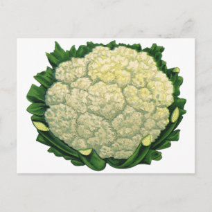 Blumenkohl Vintage-Lebensmittel Gemüse Postkarte