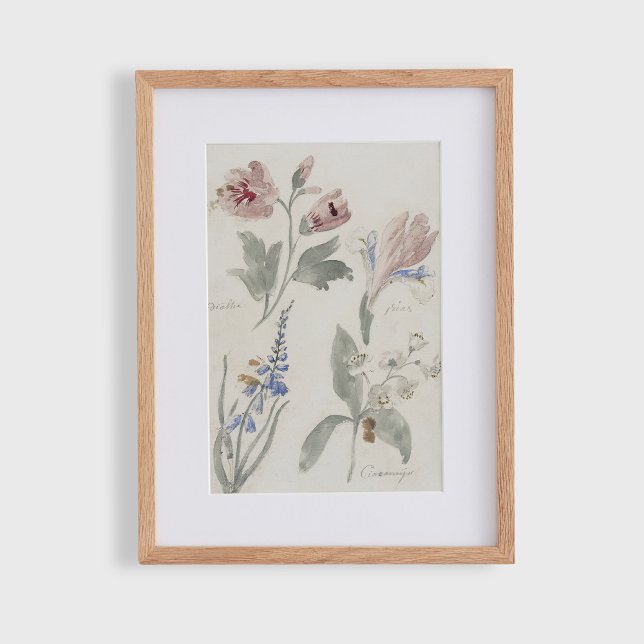 Blumenkohl, Vintages Kinderzimmer Poster (Von Creator hochgeladen)