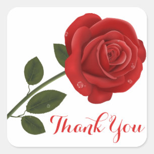 Blumenkohle Blume Vielen Dank - Hochzeitsfeier Quadratischer Aufkleber