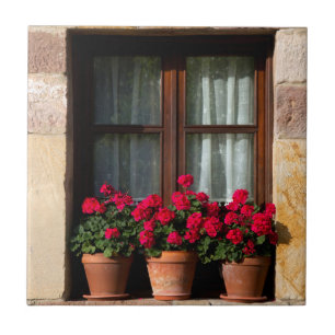 Blumenkübel am Fenster im Dorf Fliese