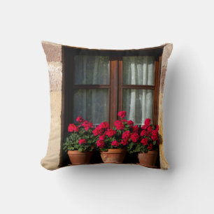 Blumenkübel am Fenster im Dorf Kissen