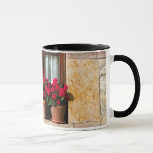 Blumenkübel am Fenster im Dorf Tasse