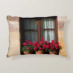 Blumenkübel am Fenster im Dorf Zierkissen