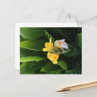 Blumenlieferung Postkarte