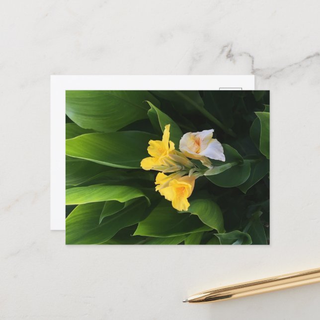 Blumenlieferung Postkarte (Vorderseite/Rückseite Beispiel)