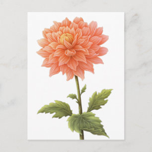 Blumenmalerei Pfirsich Orange Dahlie Postkarte