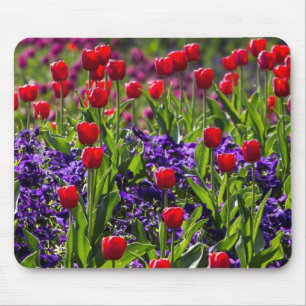 Blumenmohnblumen Mousepad