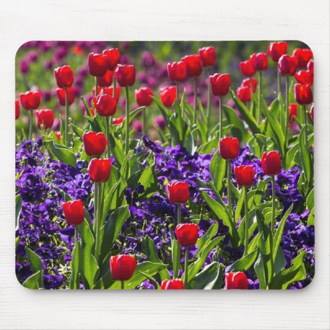 Blumenmohnblumen Mousepad (Vorne)