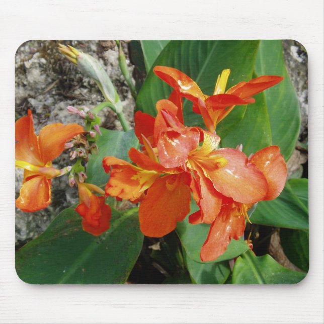 BlumenMousepad Mousepad (Vorne)