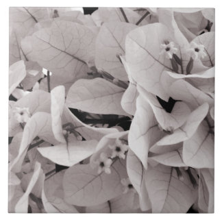 Blumenmuster der eleganten Art des Bouganvillas Fliese