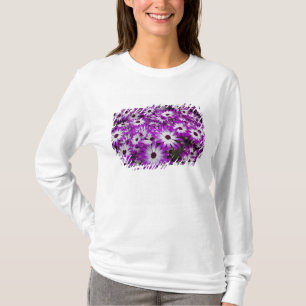 Blumenmuster, Kuekenhof-Gärten, Lisse, T-Shirt