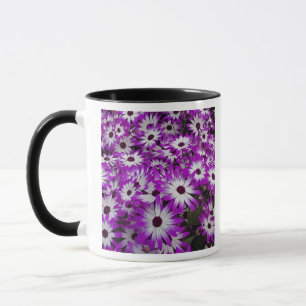 Blumenmuster, Kuekenhof-Gärten, Lisse, Tasse