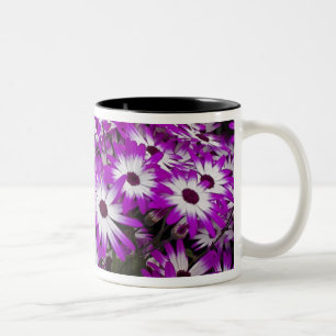 Blumenmuster, Kuekenhof-Gärten, Lisse, Zweifarbige Tasse