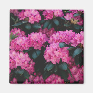 Blumenmuster-Mode-Dekorative abstrakt Magnet