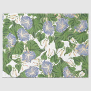Blumenpapier der botanischen Morning Glorie Blume Seidenpapier
