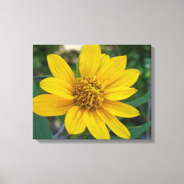 Blumenperfektion in Gelb Leinwanddruck (Vorderseite)