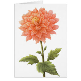Blumenpfirsich Orange Dahlia Blume Malerei