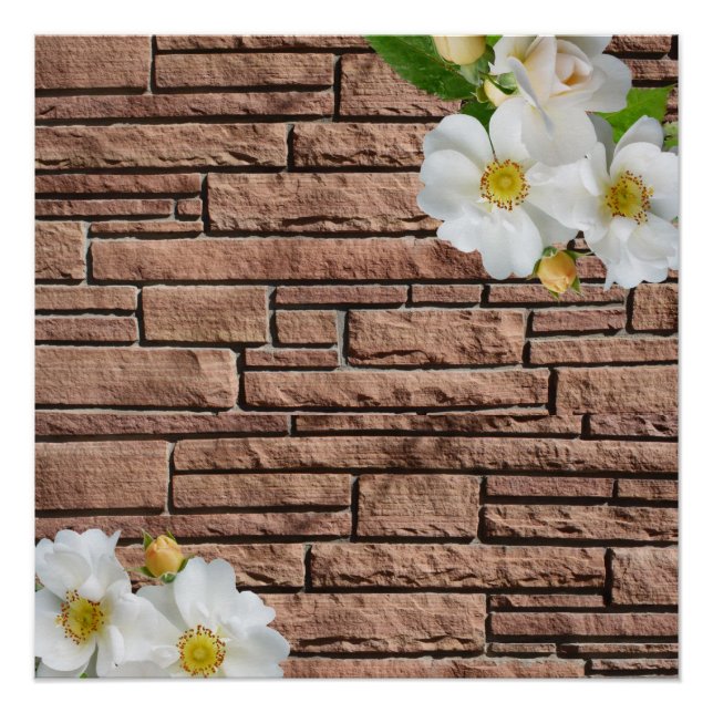 Blumenposter Poster (Vorderseite)