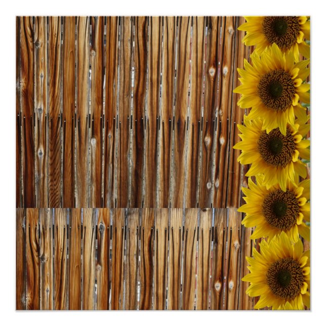 Blumenposter Sonnenblume Poster (Vorderseite)