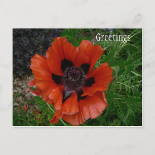Blumenpostkarte Postkarte