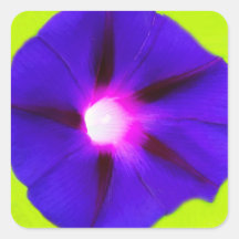 Blumenquadrat