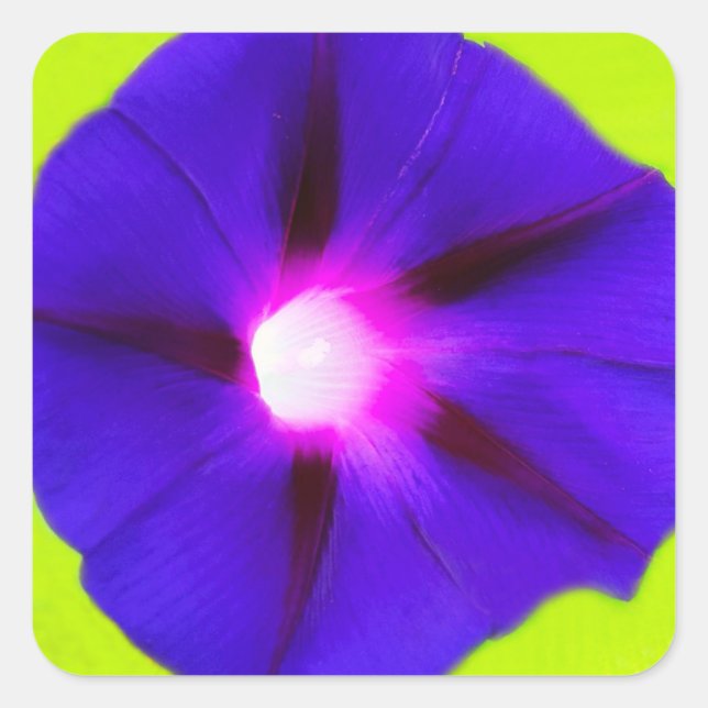 Blumenquadrat  quadratischer aufkleber (Vorderseite)