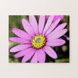 Blumenräse Puzzle
