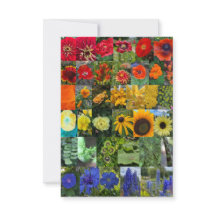 Blumenregenbogen