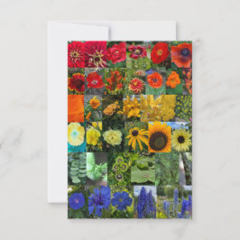 Blumenregenbogen mitteilungskarte