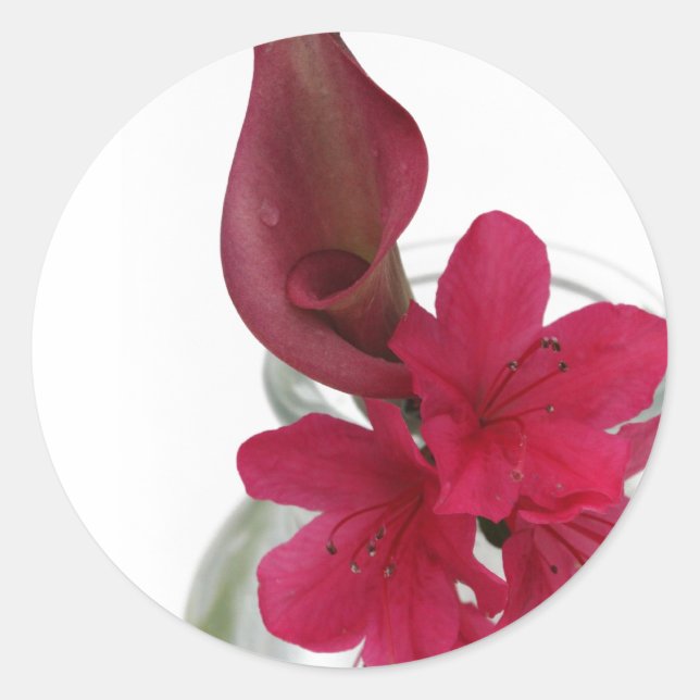 blumenreich runder aufkleber (Vorderseite)