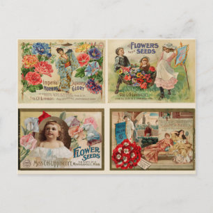 Blumensamen Vintage Collage Postkarte