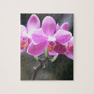 Blumensammlung Puzzle
