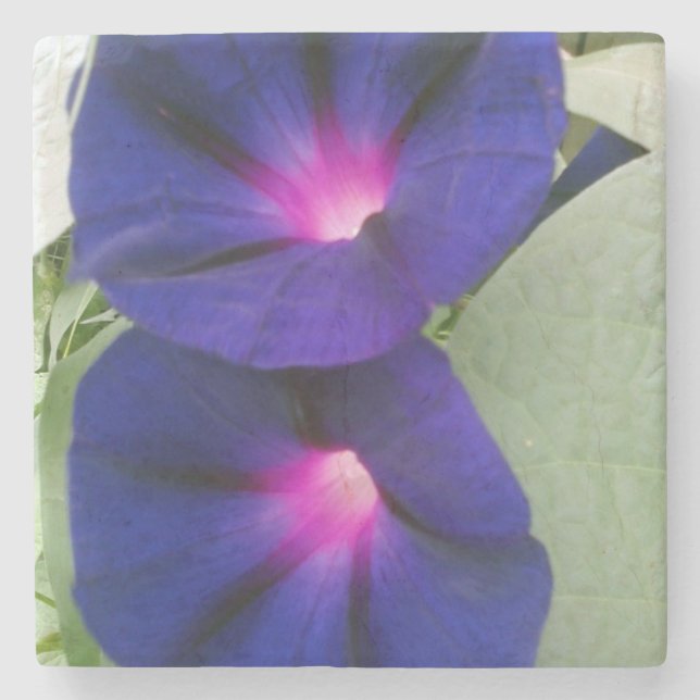 BlumensteinUntersetzer Steinuntersetzer (Vorderseite)