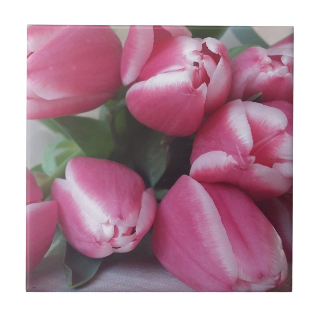 Blumenstrauß, Pink Tulips, Blume Fliese (Vorderseite)