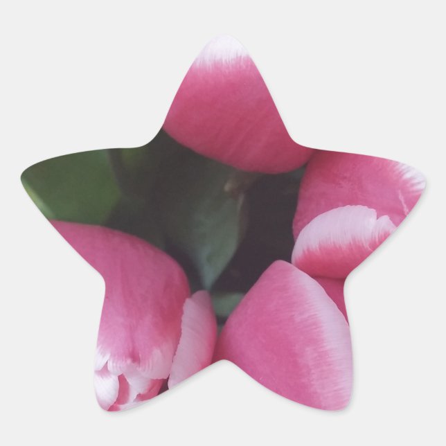 Blumenstrauß, Pink Tulips, Blume Stern-Aufkleber (Vorderseite)