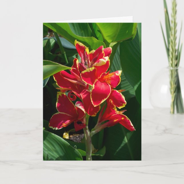 Blumensympathie-Karte Karte (Vorderseite)