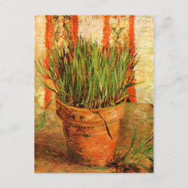 Blumentopf mit Chives (F337) Van Gogh Fine Art Postkarte