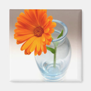 Blumenübersicht Magnet