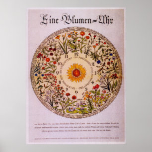 Blumenuhr   Blumen-Uhr Poster2 Poster