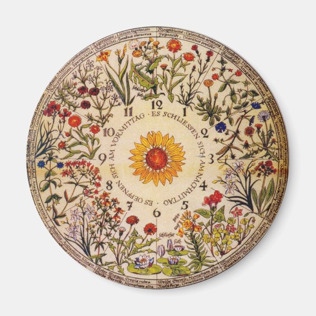 Blumenuhr Flower Clock Magnet (Vorne)